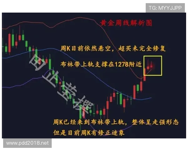 塔雷米禁区嗅觉与近期进攻表现解析 塔雷米禁区嗅觉与近期进攻表现解析