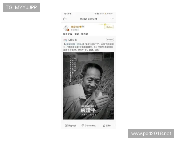 施洋居然能靠一双手赚那么多，这生活浮得起吗？